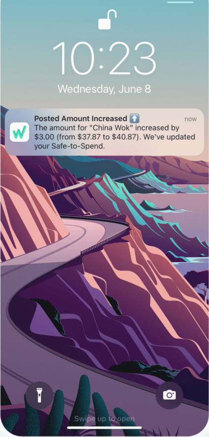Posted Transaction Update Notification