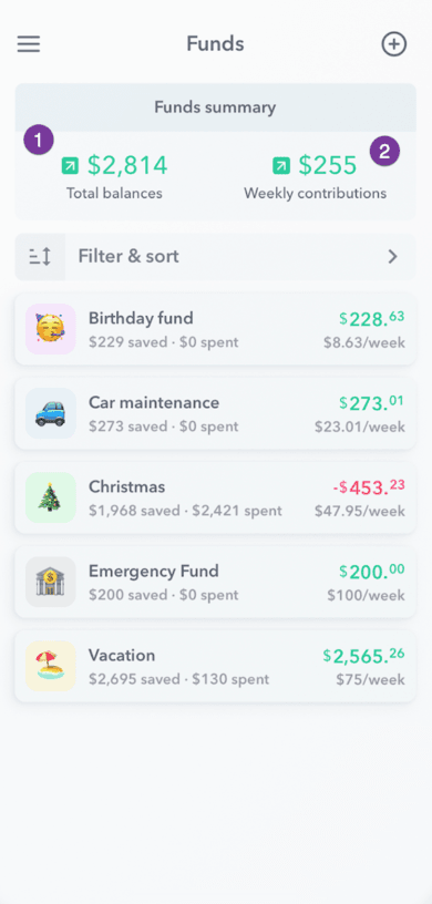 Funds summary with steps